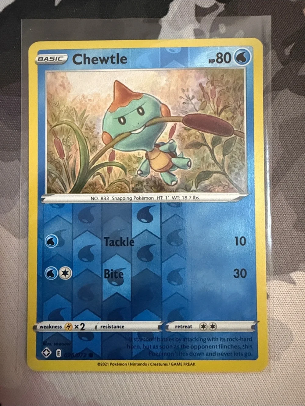 Pokemon fun chewtle